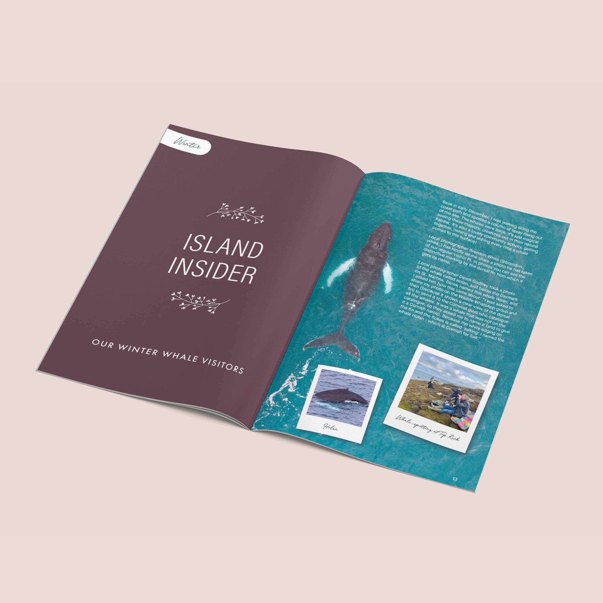 An Island Almanac Mini- Zine